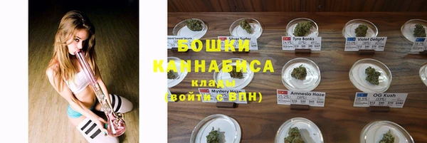 прущие крисы Армянск