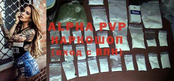Альфа ПВП Няндома
