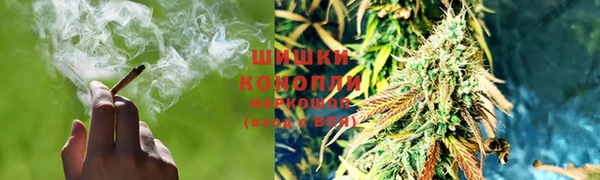 прущие крисы Армянск
